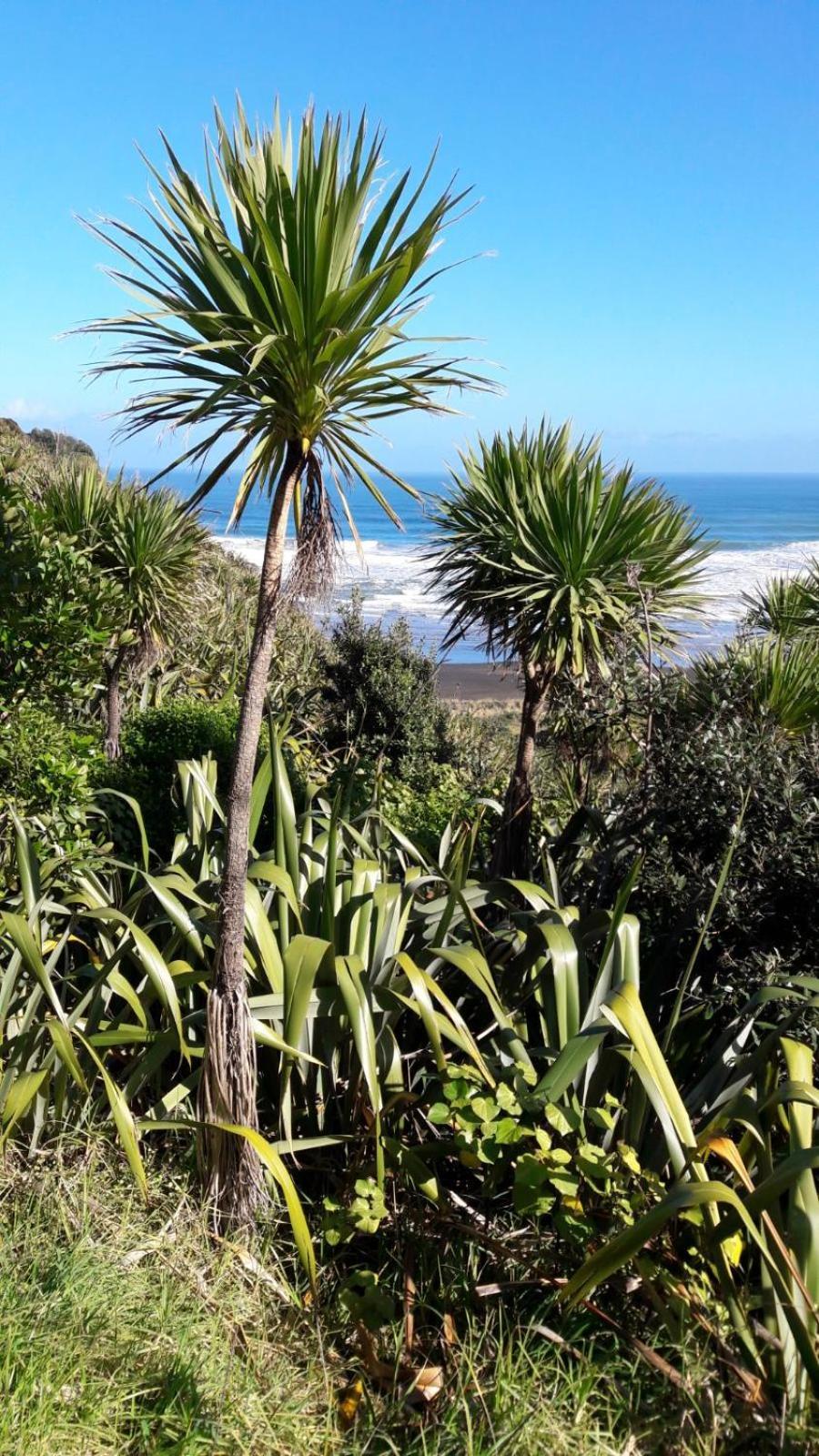 Вилла Te Henga Hideaway Bethells Beach Экстерьер фото