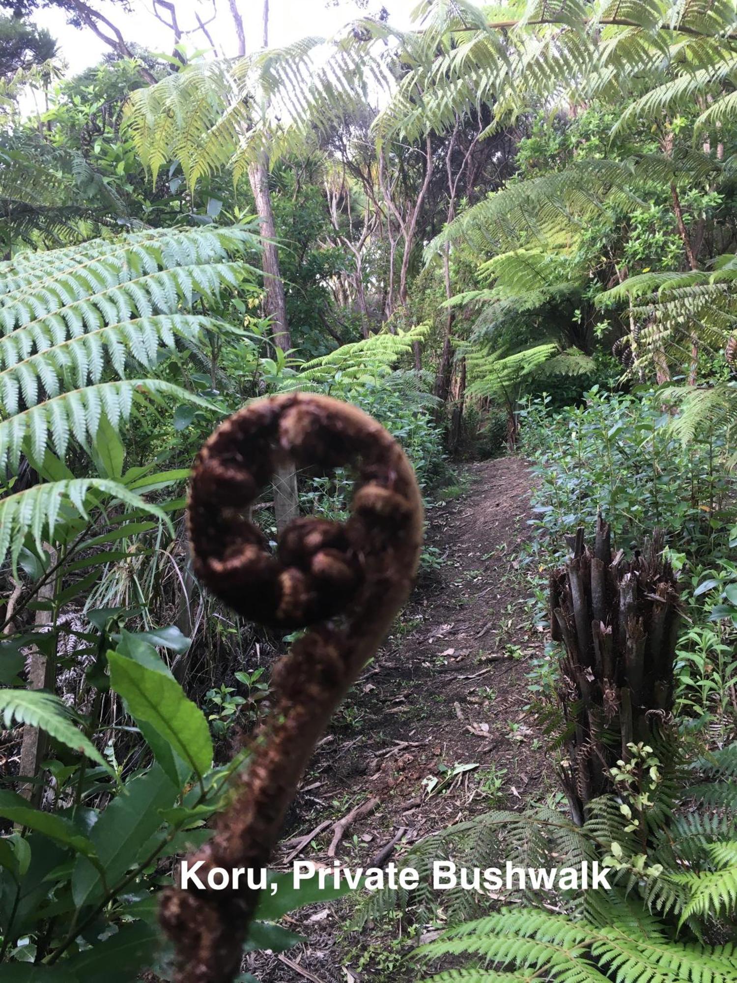 Вилла Te Henga Hideaway Bethells Beach Экстерьер фото