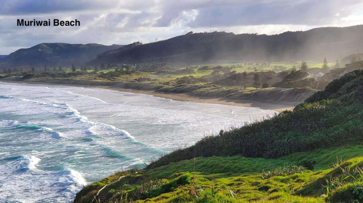 Вилла Te Henga Hideaway Bethells Beach Экстерьер фото