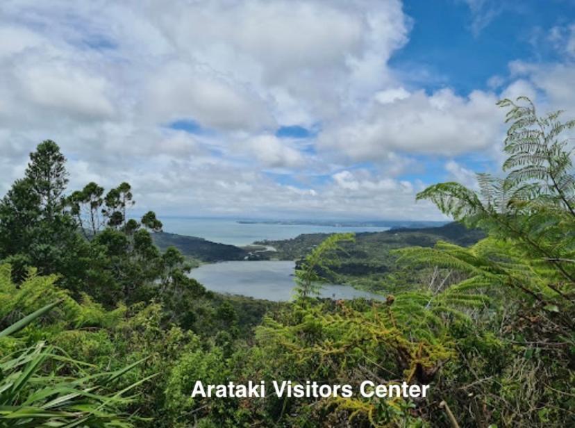 Вилла Te Henga Hideaway Bethells Beach Экстерьер фото