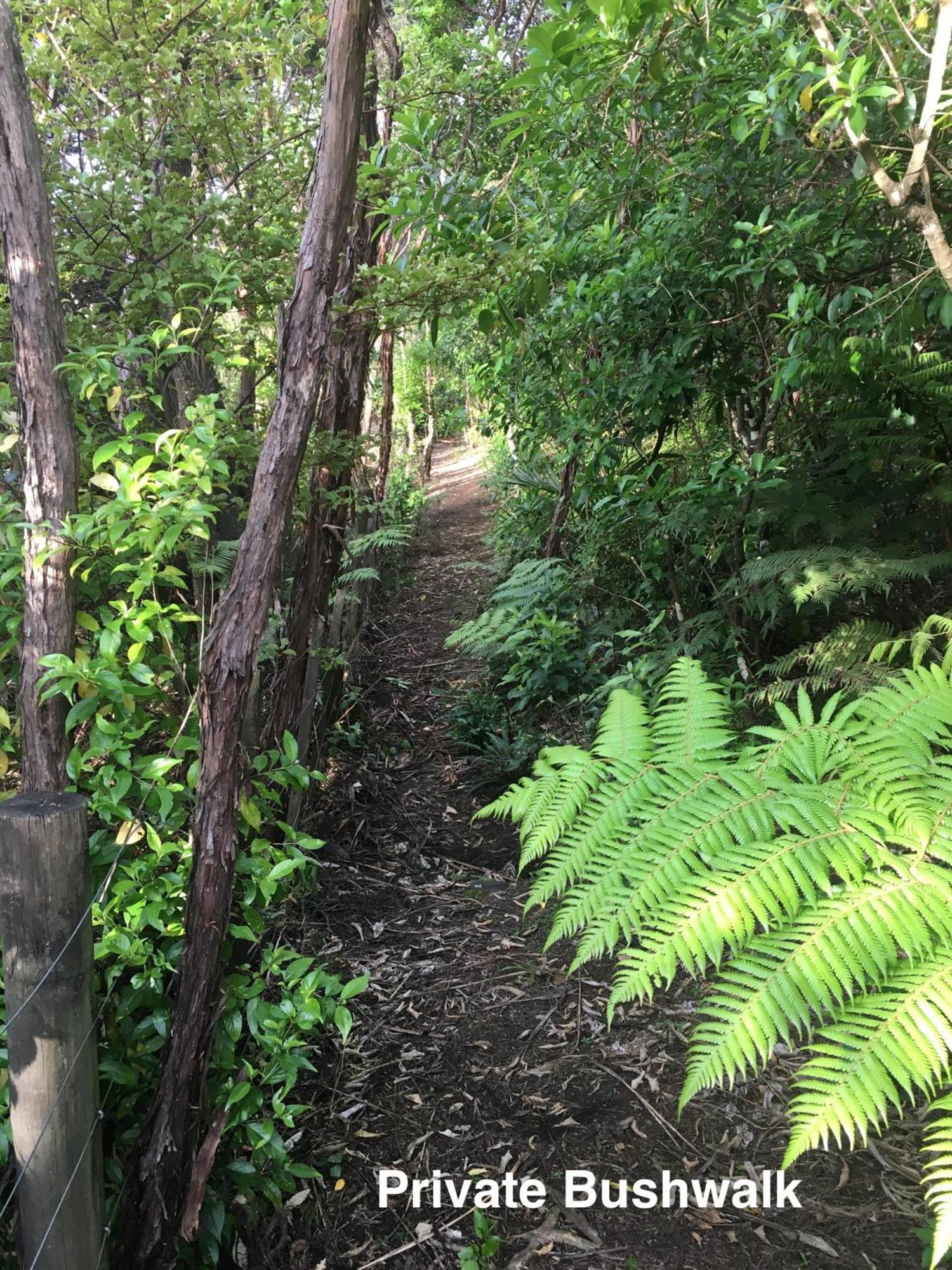 Вилла Te Henga Hideaway Bethells Beach Экстерьер фото