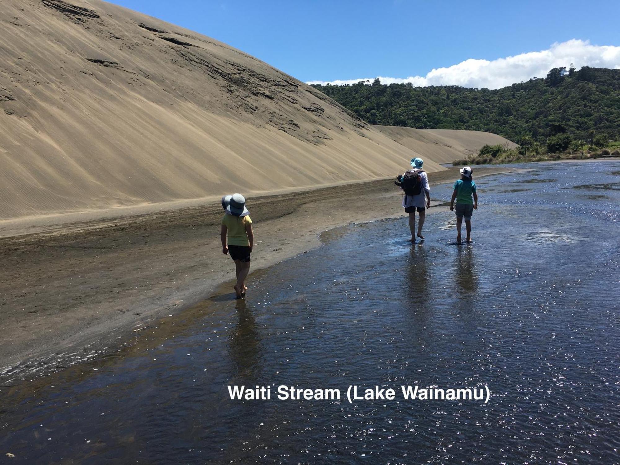 Вилла Te Henga Hideaway Bethells Beach Экстерьер фото
