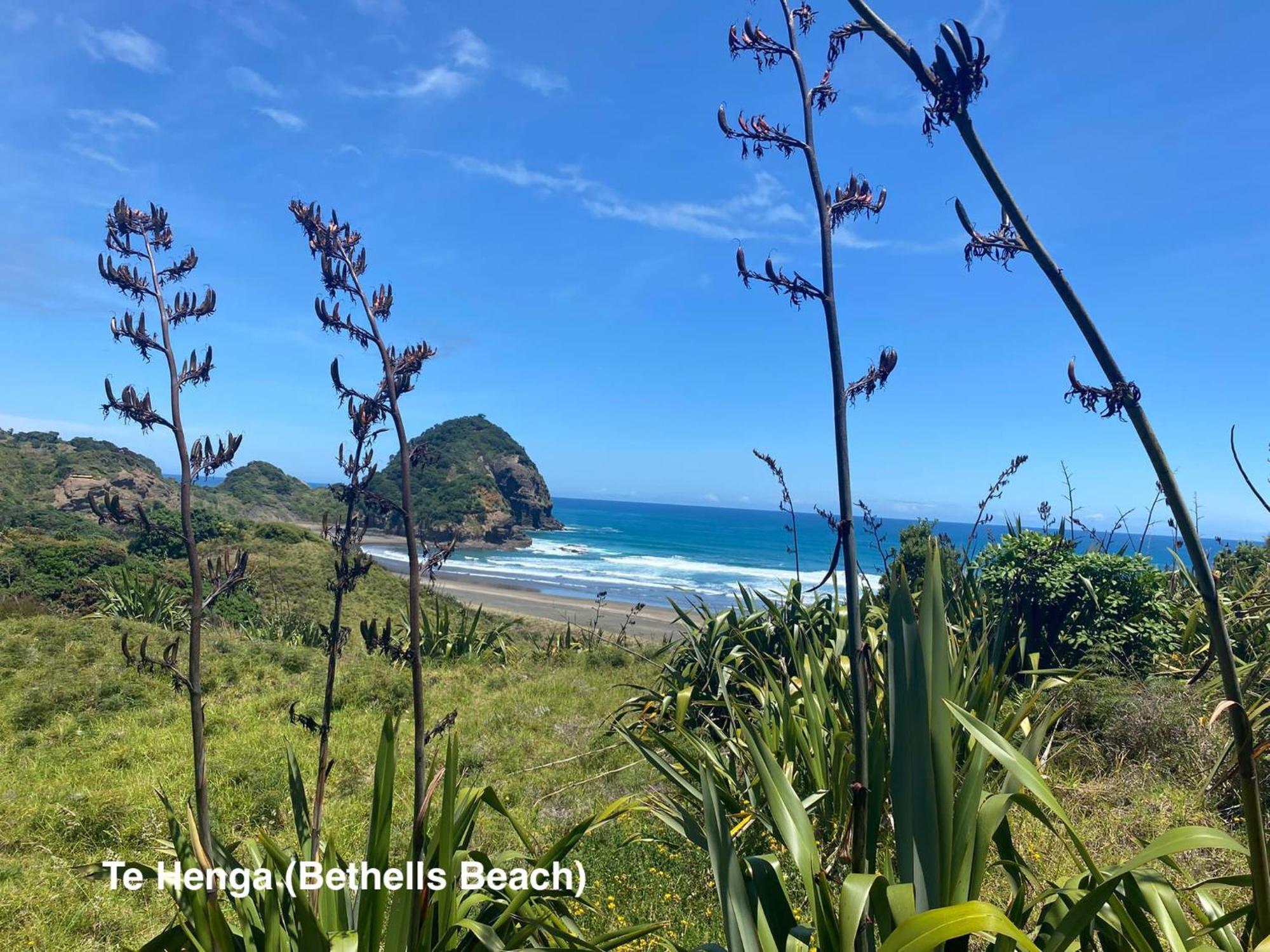 Вилла Te Henga Hideaway Bethells Beach Экстерьер фото